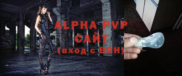прущие грибы Лабытнанги