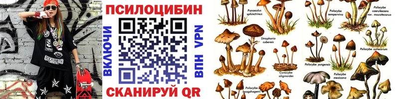 Псилоцибиновые грибы Psilocybine cubensis  KRAKEN рабочий сайт  Карабаново 
